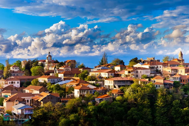 Фото экскурсии - Велисцихе: история кахетинского виноделия с винным музеем Numisi - 12