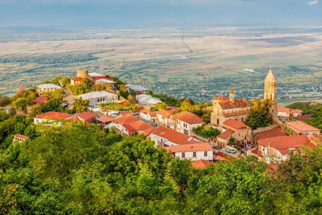 Фото экскурсии - Велисцихе: история кахетинского виноделия с винным музеем Numisi - 13