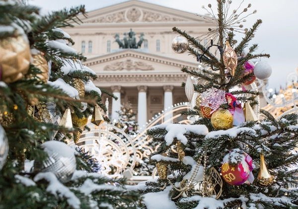 Индивидуальная обзорная экскурсия для школьных групп по новогодней Москве - фото 3
