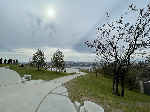 Второе знакомство с Владивостоком - фото 4