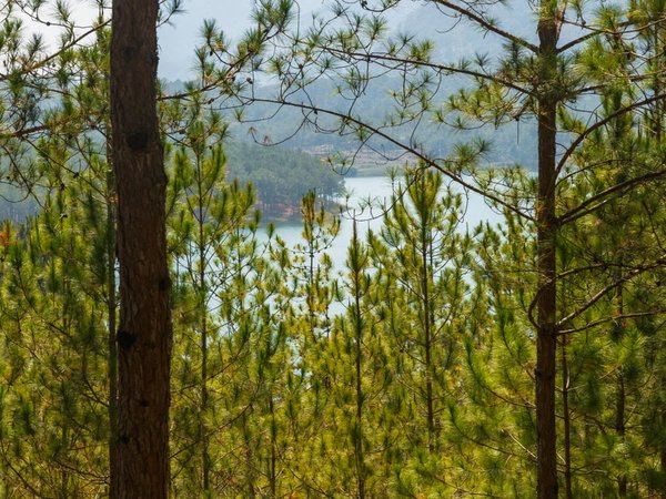 Индивидуальный тур с картингом во Вьетнаме: водопады, сосны и парки развлечений - фото 2
