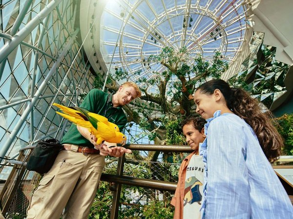 Трансфер в Dubai Safari Park и The Green Planet - фото 2
