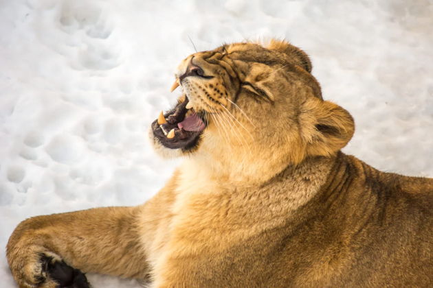 Фото экскурсии - Гран-тур Вся Карелия и Валаам на аэролодке - 9