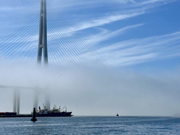 Маяки и мосты Владивостока: экскурсия на катере - фото 3