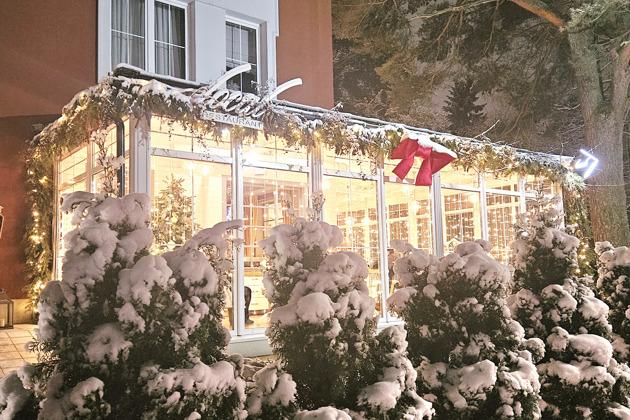 Фото - экскурсия: Сокровища Балтийского моря