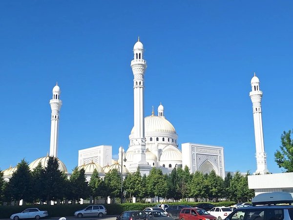 Из Кисловодска в Чечню: Грозный, Аргун и Шали - фото 2