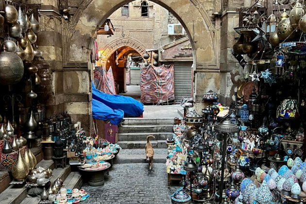 Фото экскурсии - За два дня в Каире: загадки древности и современности - 13