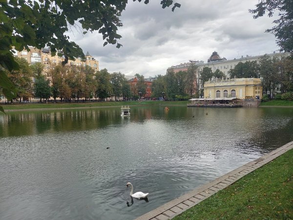 Патриаршие, или Тайны Козьего болота - фото 3