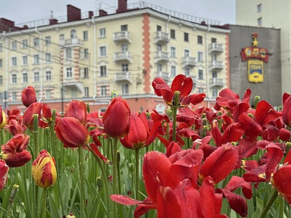 Мурманск и его окрестности — за один день - фото 3