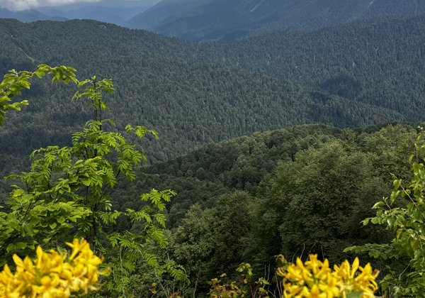 Кругозор Ефремова: Эхо Шелкового пути и голоса монахов