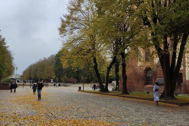 Прогулки по городу К.