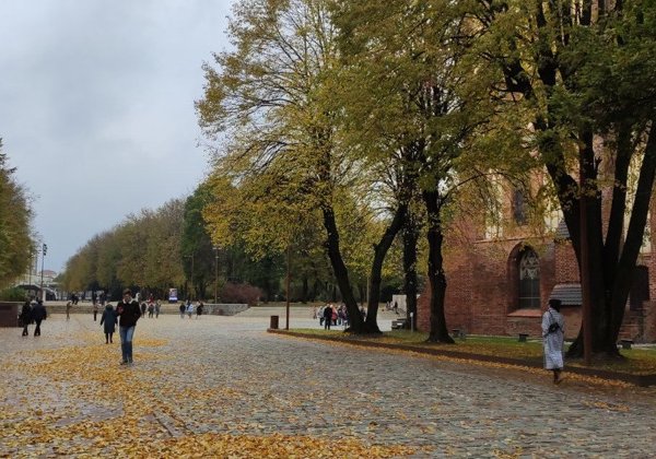 Прогулки по городу К