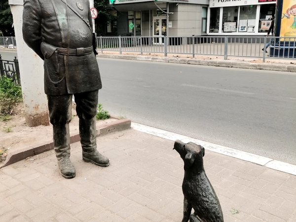 Dog-friendly Калуга: cобачьи истории - фото 4