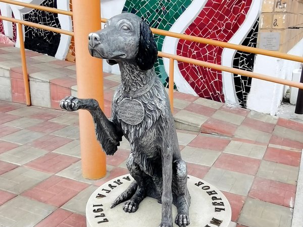 Dog-friendly Калуга: cобачьи истории - фото 2