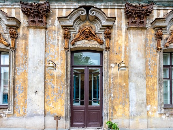 Экскурсия в дом-усадьбу Демидовых в Петербурге - фото 4