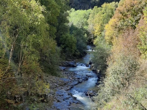 Путешествие в «Долину нарзанов» и в экодеревню к альпакам - фото 4