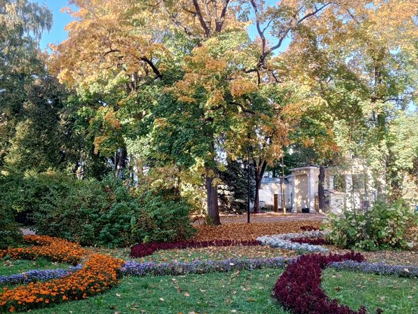 Калужский городской парк: история под сенью липовых аллей - фото 2