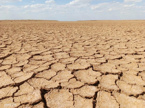 Кочевая Калмыкия: от бактрианов до озёр Бумбы — из Элисты - фото 3