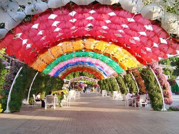 Сказочный Дубай: парк цветов и ярмарка Global Village (трансфер с билетами) - фото 4