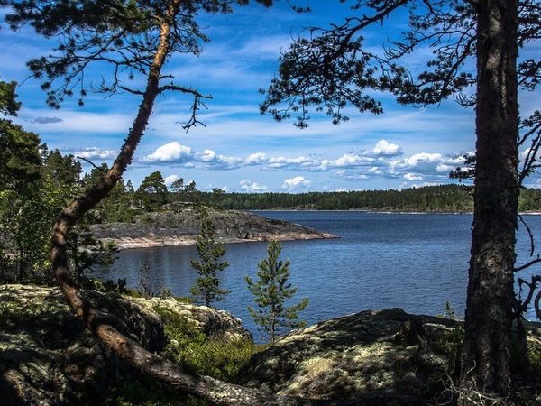 Прогулка на катере «Кружево Ладожских шхер» - фото 4