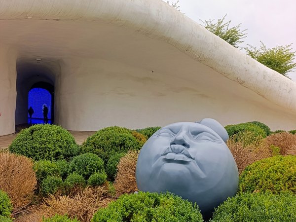 Семейный квест по Стране чудес в парке «Краснодар» - фото 4
