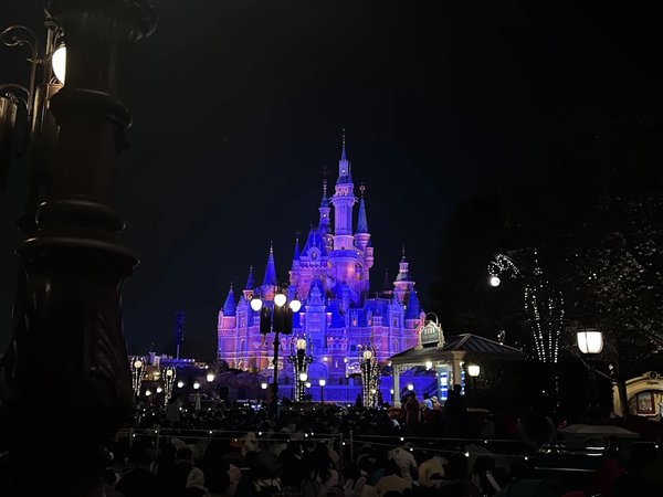 Волшебный день в Shanghai Disneyland с личным сопровождением - фото 1