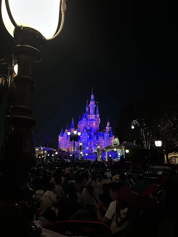 Волшебный день в Shanghai Disneyland с личным сопровождением