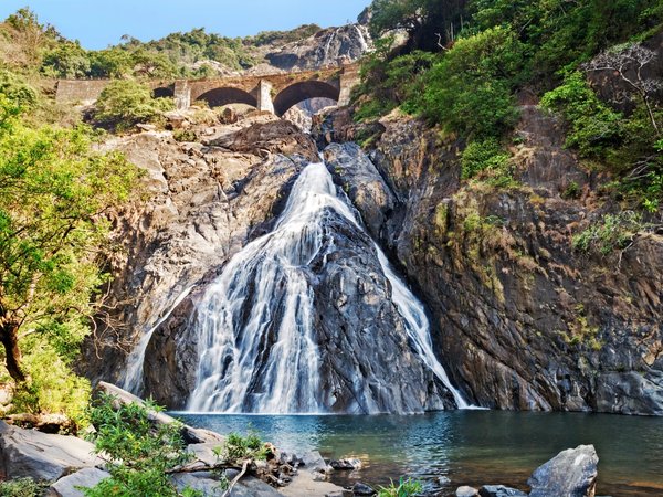 Весь Гоа за один день: групповая экскурсия - фото 3
