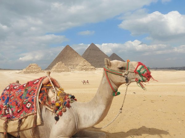 В Каир из Шарм-эль-Шейха: пирамиды Гизы, Сфинкс и Большой Египетский музей - фото 4