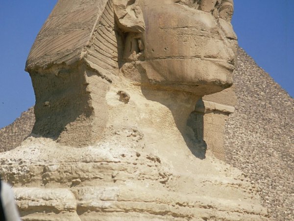 В Каир из Шарм-эль-Шейха: пирамиды Гизы, Сфинкс и Большой Египетский музей - фото 2