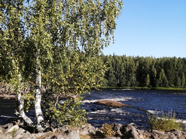 Прогулка вдоль Олонки — по гусиной столице России - фото 4