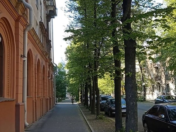 Пешком по историческому центру Петрозаводска - фото 4