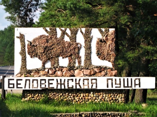 День в Беловежской пуще: трансфер из Минска - фото 3