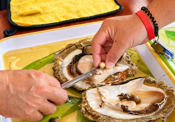 Южный Фукуок: обзорная экскурсия (групповой тур) - фото 4