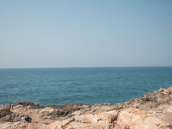 Из Паттайи в Районг: мангровый лес и город у моря - фото 3
