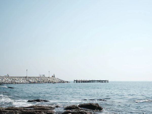 Из Паттайи в Районг: мангровый лес и город у моря - фото 1