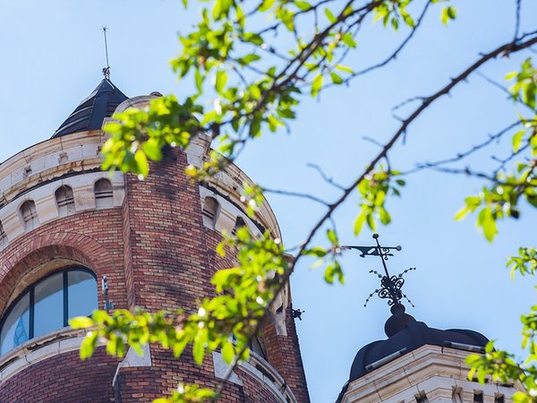 Разноликий Белград: крепость, Гардош и храм Святого Саввы - фото 2