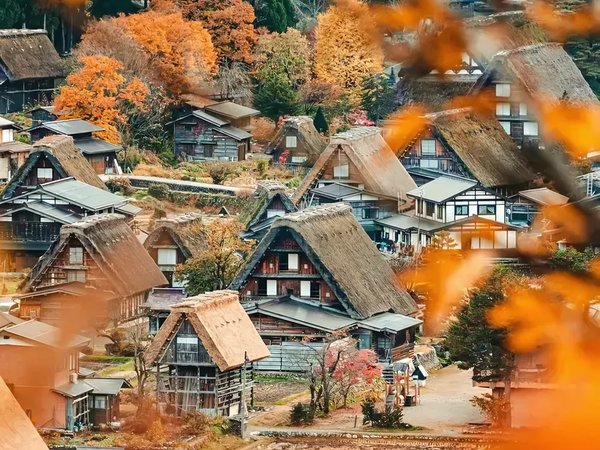 Красные клёны Японии: Токио, Фудзи, Нара, Киото и Осака — с проживанием в рёкане и отелях 4* - фото 4