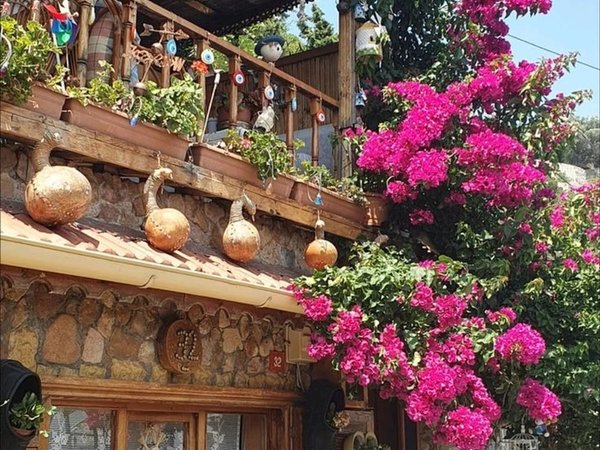 Принцевы острова: Бююкада и Кыналыада (трансфер и обед включены) - фото 3
