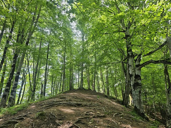 День в горах: поход к озеру Гаранохур - фото 2
