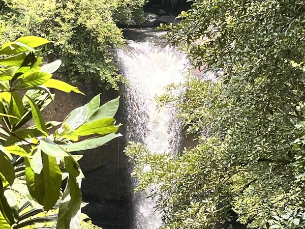 Нацпарк «Кхауяй» и водопады Накхоннайока — из Паттайи - фото 3