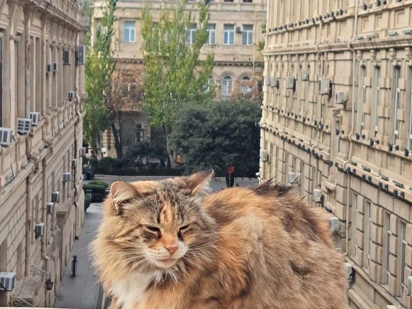 Два лица Баку: от Старого города до Пламенных башен - фото 1