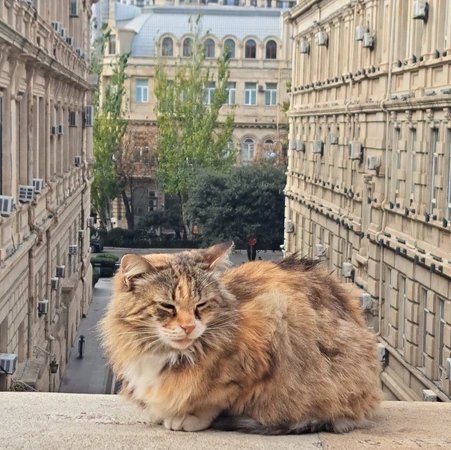 Два лица Баку: от Старого города до Пламенных башен