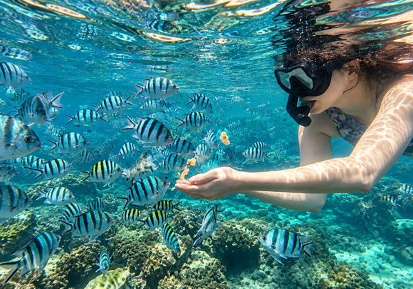 Жемчужная ферма в море + пляж морских звёзд: групповой тур - фото 1