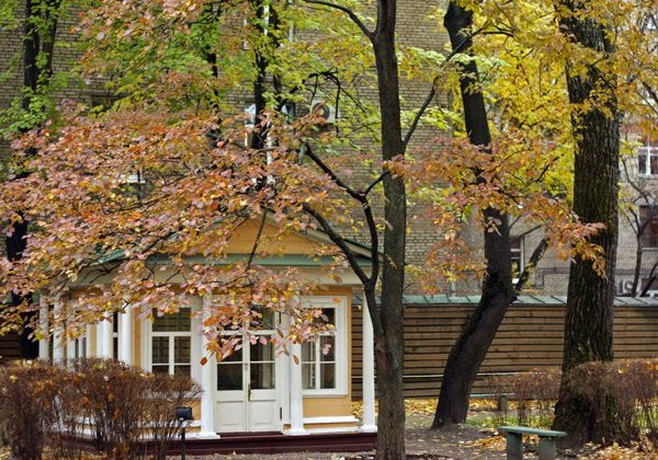 Входной билет в Мемориальный дом-музей Л. Н. Толстого в Хамовниках - фото 2