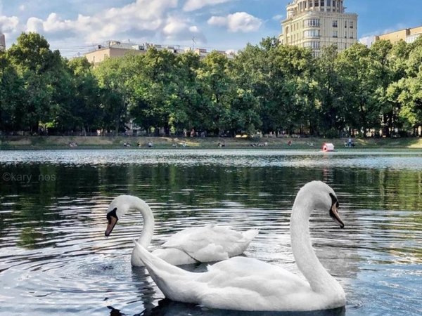 Патриаршие пруды: переплетение судеб - фото 2
