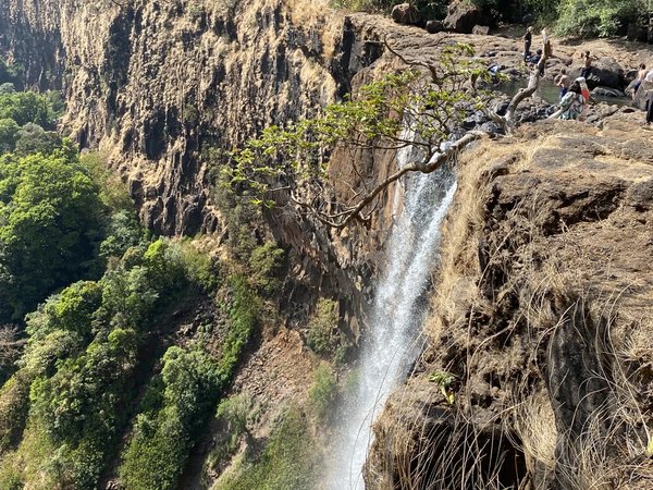 Хайкинг по джунглям Гоа - фото 1