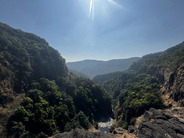 Хайкинг по джунглям Гоа - фото 3
