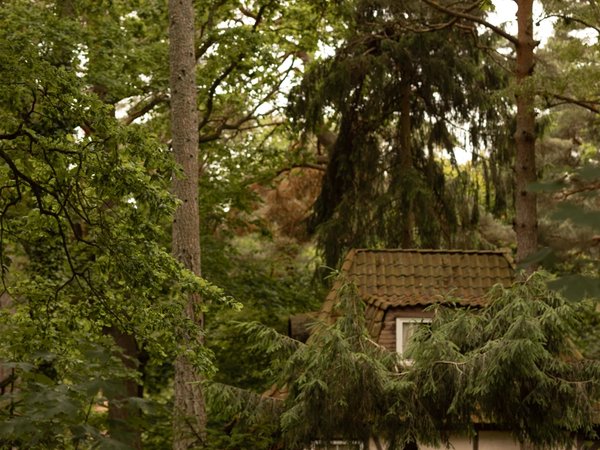 Очарование старинных курортов: фотопрогулка по Светлогорску - фото 1