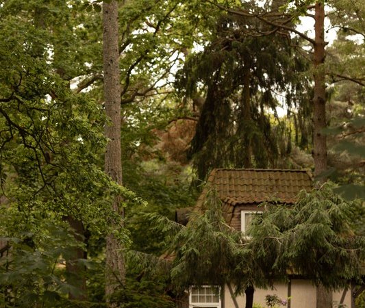 Очарование старинных курортов: фотопрогулка по Светлогорску